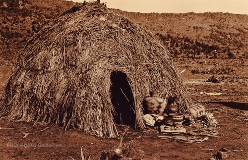 Vintage edward curtis american - edward,